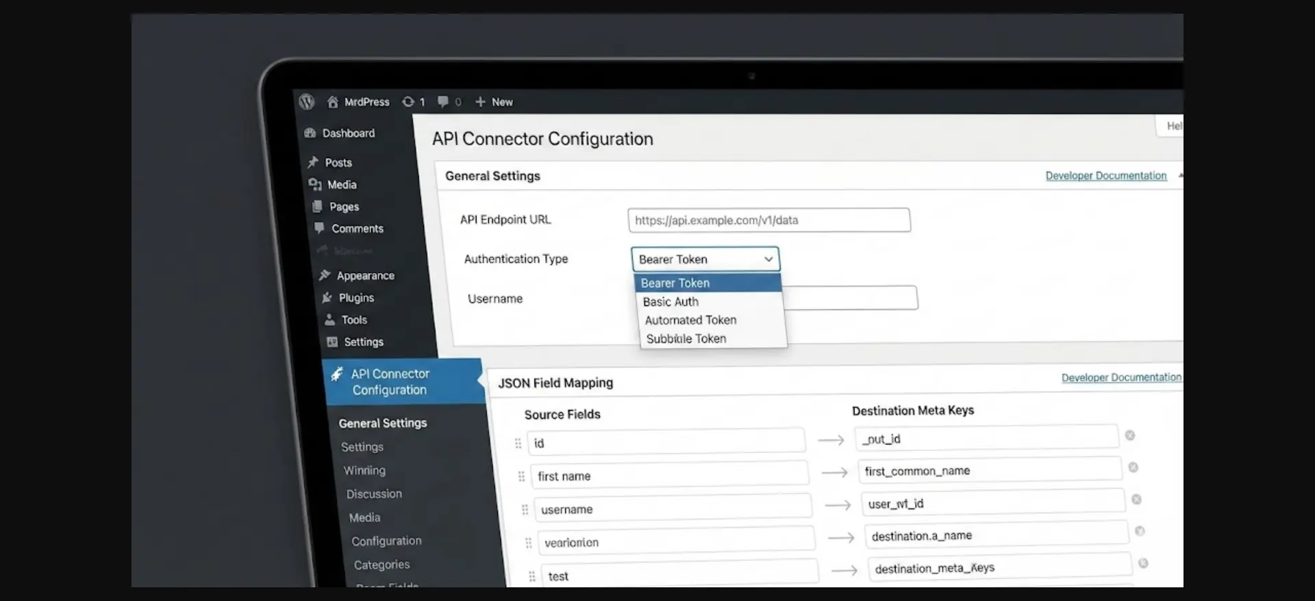 API Connector Configuration panel