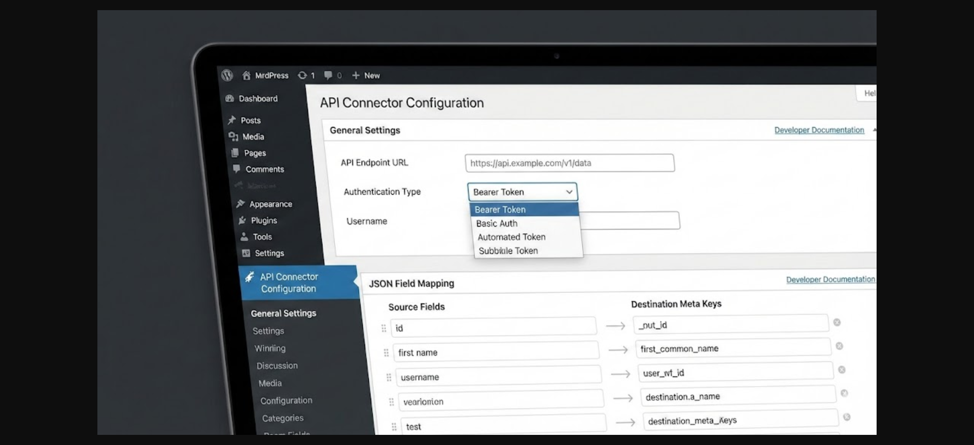 API Connector Configuration panel